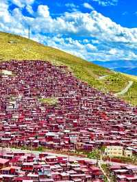 Red Houses & Peaceful Minds