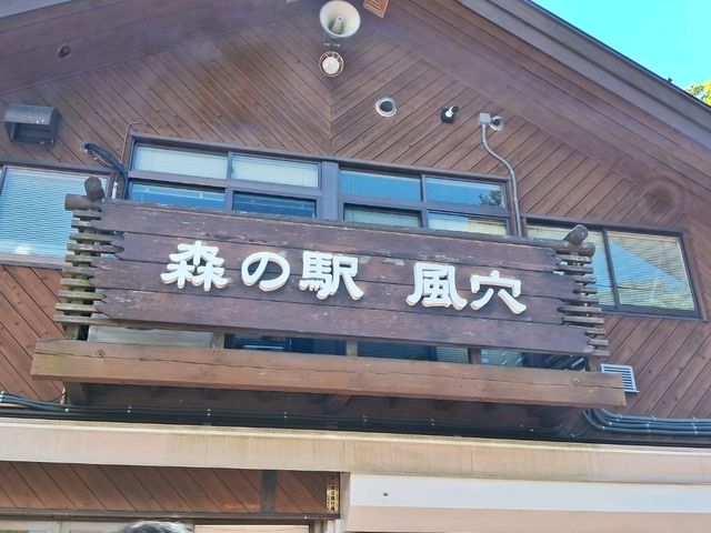 【山梨】鳴沢氷穴と合わせて行きたい「富岳風穴」