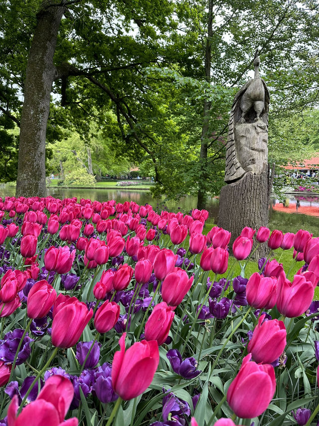 🌷 Keukenhof… เหมือนหลุดเข้าไปอยู่ในเทพนิยายดอกไม้