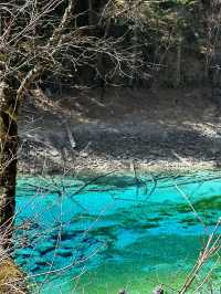 Five-Color Pond:Jiuzhaigou’s Liquid Kaleidoscope 