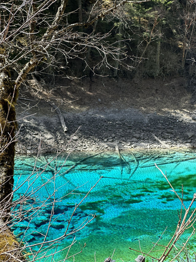 Five-Color Pond:Jiuzhaigou’s Liquid Kaleidoscope 