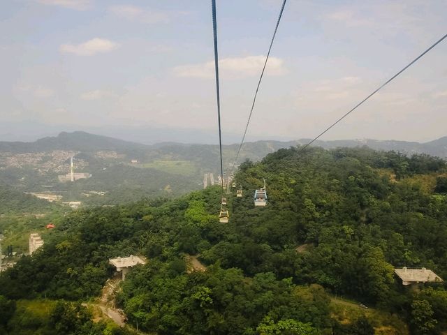 ไร่ชาเมาคง (Maokong Tea Garden)