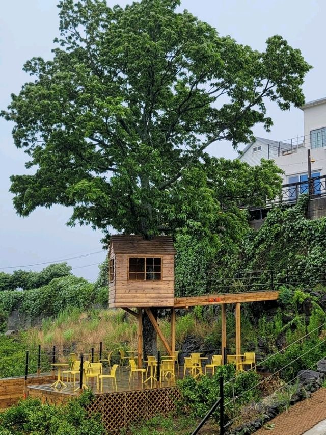 제주도 카페 웃뜨리