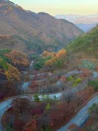 🌿 단양 1박 2일 힐링 여행 코스 