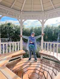 สวนลุงเวศน์ (Lungveat Garden)