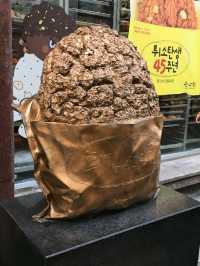 대전 가볼만한곳 1위 '성심당'으로 빵지순례!