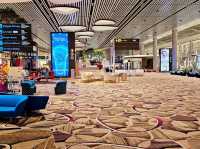 Changi Airport encounter, again!!!