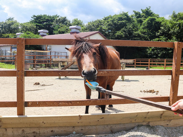 【栃木県】 那須の雄大な自然に暮らす動物たちの王国『那須どうぶつ王国』