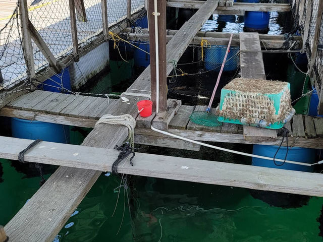 香港漁民文化⭐️南丫島漁民文化村 🐟🏡