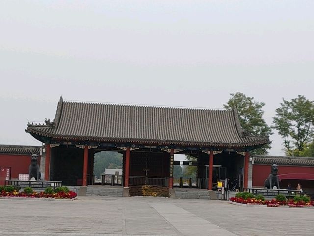 First Glimpse: The Ginkgo Boulevard of Yuanmingyuan