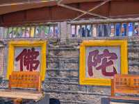 Where the Sea Breathes Zen – Xiamen’s Coastal Sanctuary of Compassion