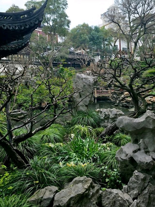A Stroll Through Time : Yu Gardens