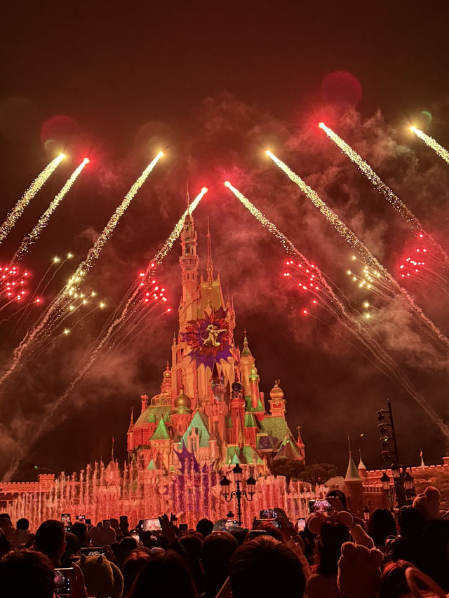 Disneyland in New Year 2025