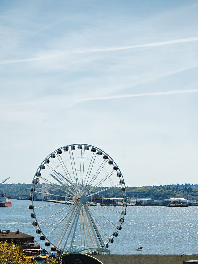 🇺🇸 Seattle | The Most Comfortable City to Live In
