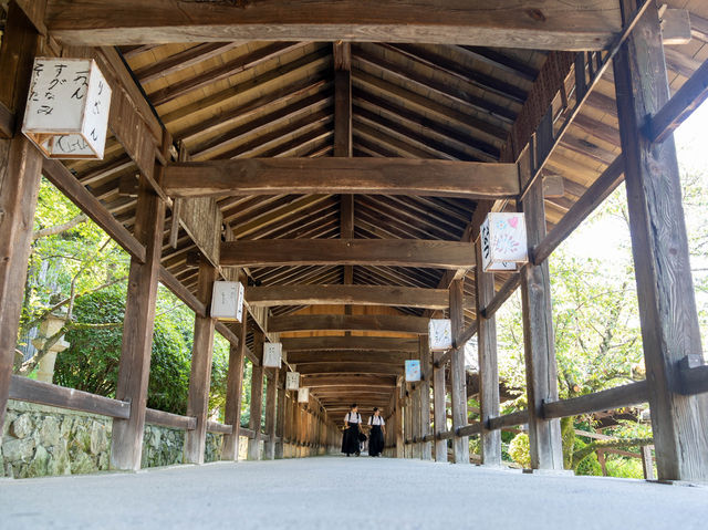 📍桃太郎原型巡禮⛩岡山兩大神社心得