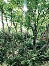 💧🏞️水と音がつなぐ非日常──品川・御殿山庭園の滝散歩