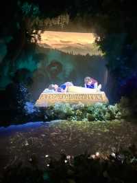 Enchanted Storybook Castle – The Heart of Shanghai Disneyland