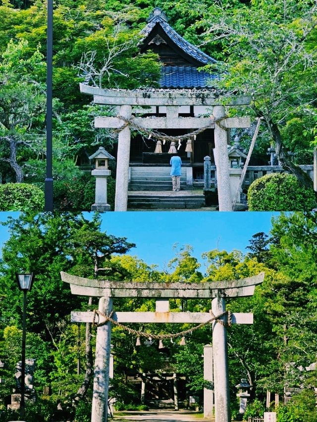 빛과 바람이 머무는 히로시마 여행기