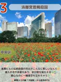 【東京】ぼーっと癒されたい人必見🌳涼しく癒され放題の庭園・公園6選📸🌿