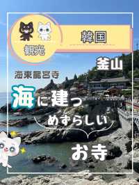 【釜山】パワースポット海東龍宮寺 海に建つ珍しいお寺✨