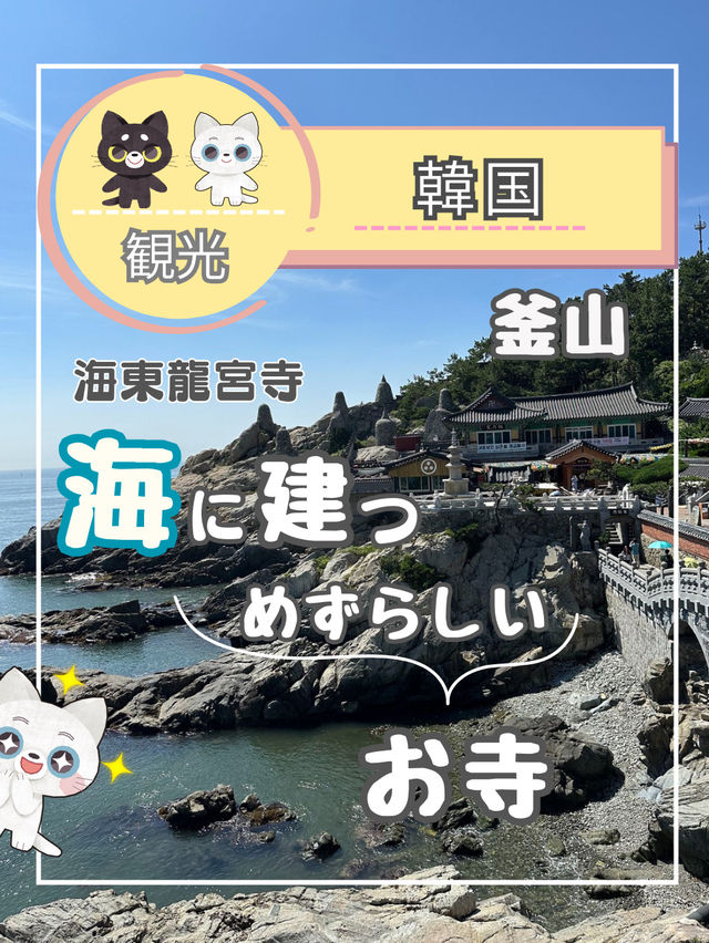 【釜山】パワースポット海東龍宮寺 海に建つ珍しいお寺✨ 【釜山】パワースポット海東龍宮寺 海に建つ珍しいお寺✨