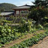 A Stroll Through Yangdong Folk Village