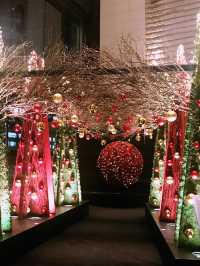 ✨ 丸の内クリスマス記録と2025 予測: 花と光の饗宴からマリオと共に彩る冬へ