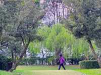 Oriental Garden Serenity at Saujana Hijau
