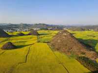 Luoping - Sea of Rapeseed Flowers in Yunnan.