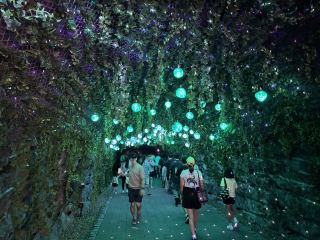 Gwangmyeong Cave｜A Subterranean World of Light and Mystery