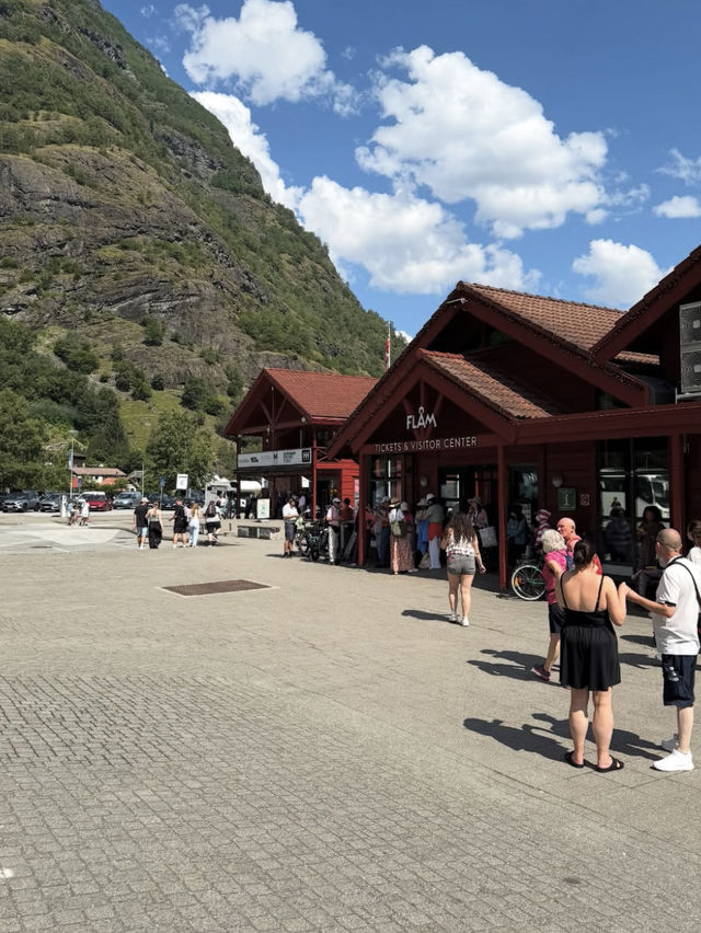 【世界一美しい鉄道旅】フロム鉄道で絶景を駆け抜ける感動体験🚂🏞️