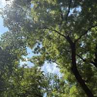 Lago Maggiore – A Majestic Italian Lake of Beauty and Tranquility
