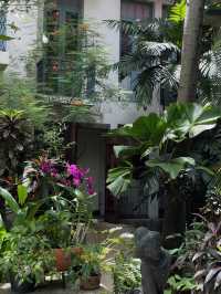 Bangkok’s hidden oasis 🍃
