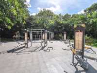 深圳｜深圳灣公園