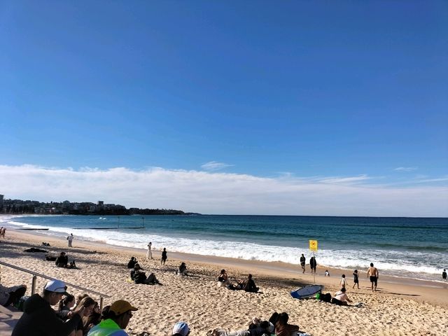 🏖️Lunch At The Beach🏖️