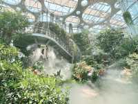 🌵【上海新地標！亞洲最大溫室花園「上海溫室花園」開放啦～沙漠雨林一次看夠，隨手一拍就是科幻大片！】🌵