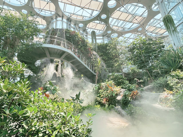🌵【上海新地標！亞洲最大溫室花園「上海溫室花園」開放啦～沙漠雨林一次看夠，隨手一拍就是科幻大片！】🌵