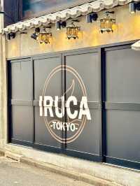 Iruca Tokyo: A Cozy Culinary Gem for Ramen Lovers