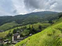 Rice Terrace Dream🌾