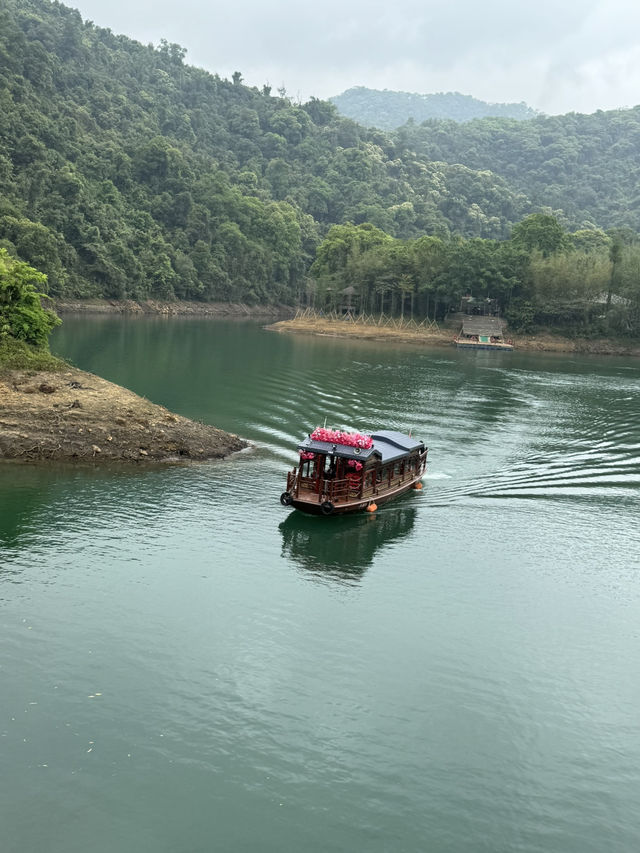 感受神級養肺之旅，在鼎湖深呼吸