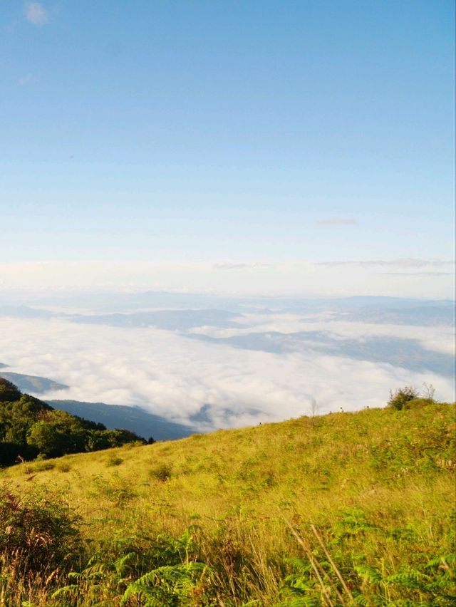 ⛰️ : Kew Mae Pan Viewpoint จุดชมวิวกิ่วแม่ปาน