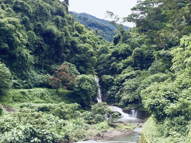 🌿「追隨水聲，一步步走進山林的心跳節奏。」