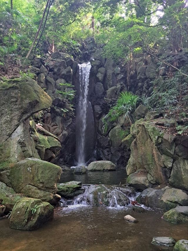 มุมลับวัดนาริตะซัง จุดรับพลังงานดีๆ ที่ต้องมา🌿 มุมลับวัดนาริตะซัง จุดรับพลังงานดีๆ ที่ต้องมา🌿