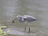 8 favourite captures in Tarangire National Park