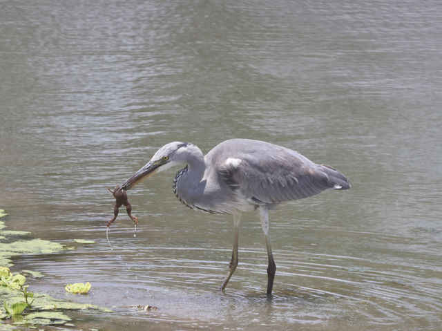 8 favourite captures in Tarangire National Park