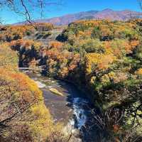 🌊 Fukiware Falls – One of Japan’s Top 100 Waterfalls 🌊
