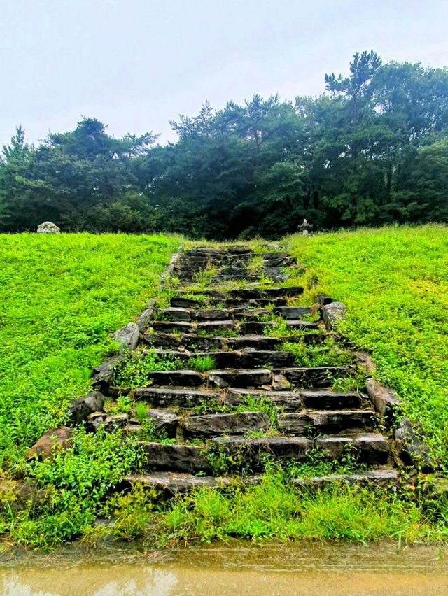 바람의 휘파람이 들리는 공주 마곡사 솔바람길
