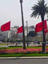 유럽 가이드 : 타리파 - 탕헤르 배 편 🇪🇸 & 🇲🇦