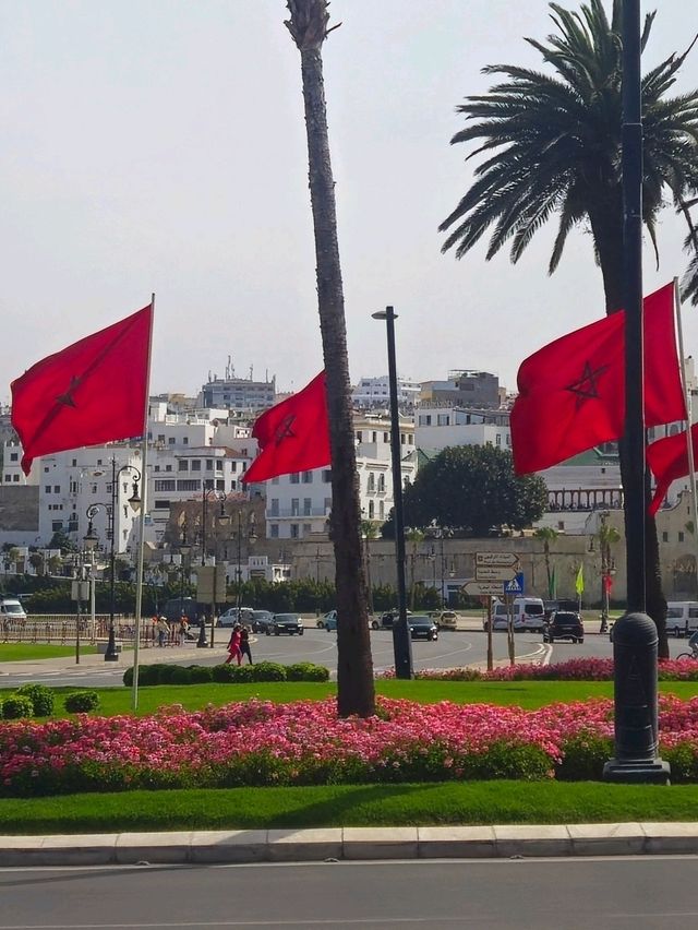 유럽 가이드 : 타리파 - 탕헤르 배 편 🇪🇸 & 🇲🇦