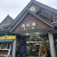 The Cutest Bear Ranch in Hokkaido: Showa Shinzan Experience 🐻✨